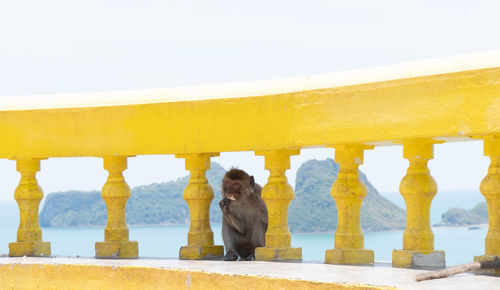 Low angle view of woman standing against yellow water