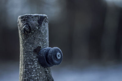 Close-up of metallic object against blurred background