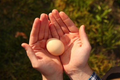 Human hands hold a chicken egg. top view male hands holding one egg. easter