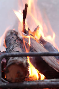 Close-up of bonfire at night