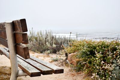 Wooden posts on beach against clear sky