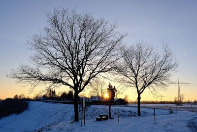 Silhouette of tree at sunset