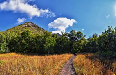 nature