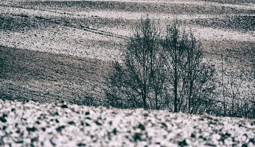 Surface level of landscape