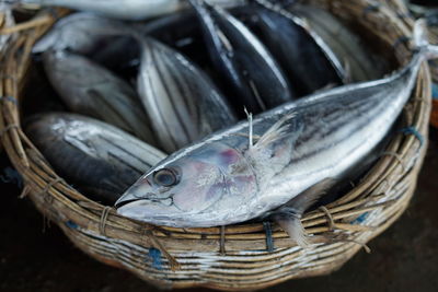 Closeup of pile tuna fish at fishing harbour in indonesia