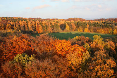 Scenic view of trees during autumn against sky