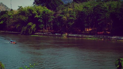 Scenic view of lake against trees