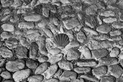 Close-up view of stone wall