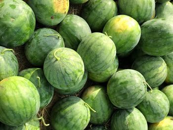 Full frame shot of watermelons