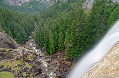 Scenic view of tree mountains