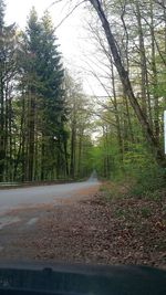 Road amidst trees in forest