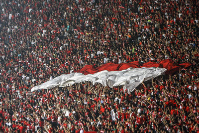 Full frame shot of crowded audience celebrating in stadium