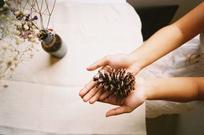 Midsection of woman holding pine cone