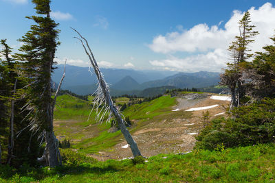 Scenic view of landscape against sky