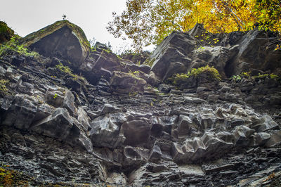 Low angle view of rock formations in the forest