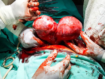 High angle view of hands