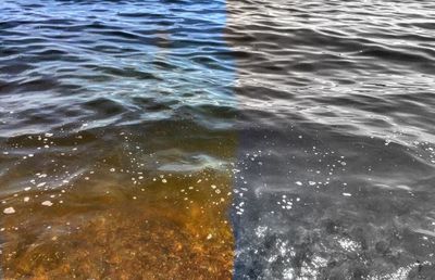 Reflection of trees in water