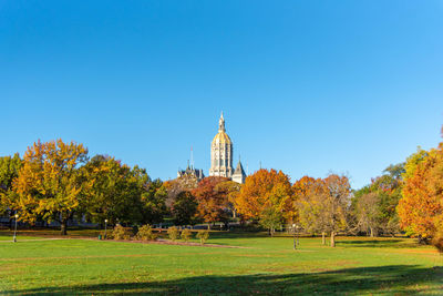 Trees and buildings against blue sky