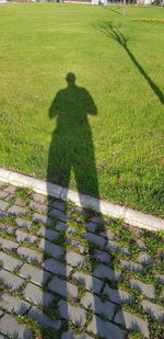 Shadow of man on grassy field