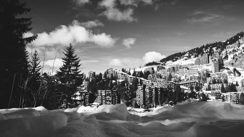 Trees and buildings in city during winter