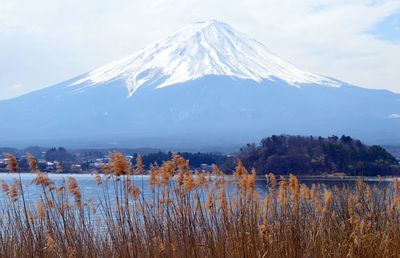 The iconic active volcano in japan - fuji mount in a cloudy day. view from lake kawaguchiko