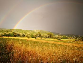 Scenic view of rainbow over field