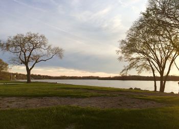 Trees on field against sky