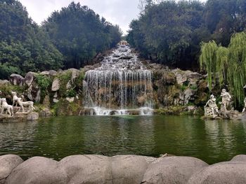 Scenic view of lake in forest