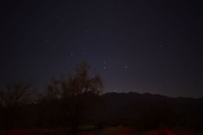 Trees on landscape at night