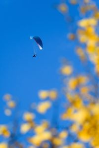 Close-up of person against blue sky