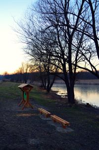 Bare tree against sky during sunset