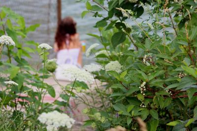 Rear view of woman standing by plants