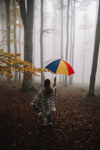 Young female wearing poncho in the forest and holding a multicolored umbrella. rainy autumn season.