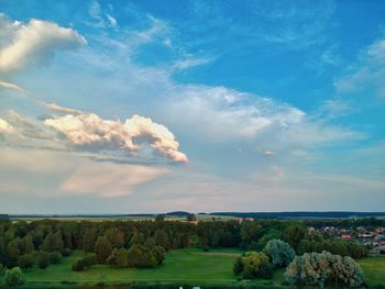 Scenic view of trees on field against sky