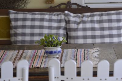 Close-up of potted plants on table at home