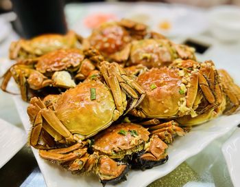 Close-up of hairy crab in plate