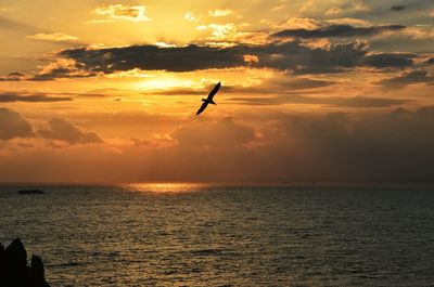 Scenic view of sea at sunset