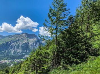 Scenic view of trees and mountains against sky