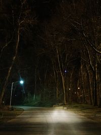 Road along trees at night