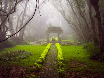 Footpath in park