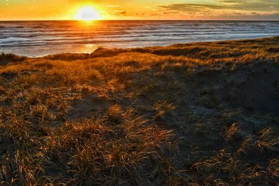 Scenic view of sea at sunset