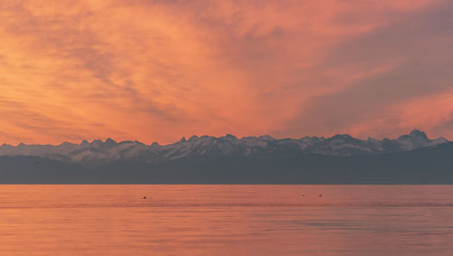 Landscape at sunset, the lake constance and the european alps at the horizon. sky reflected in lake.