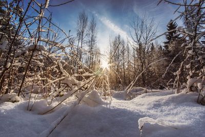 Scenic view of snow covered landscape