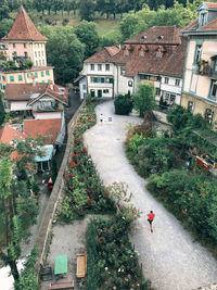 High angle view of buildings and trees in city