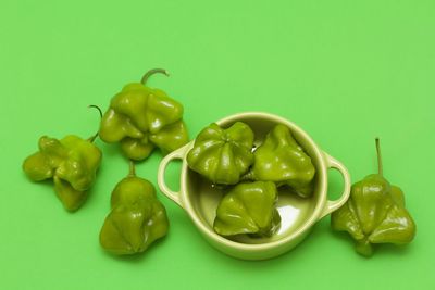 High angle view of vegetables on green background