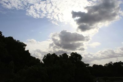 Low angle view of trees against sky