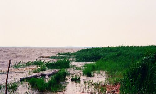 Scenic view of sea against clear sky