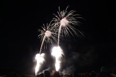 Low angle view of firework display at night