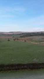 Scenic view of grassy field against sky