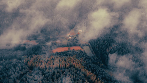 Aerial view of forest through clouds